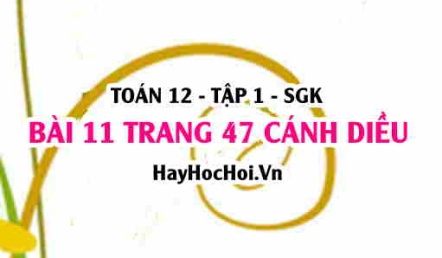 Bài 11 trang 47 Toán 12 tập 1 Cánh Diều